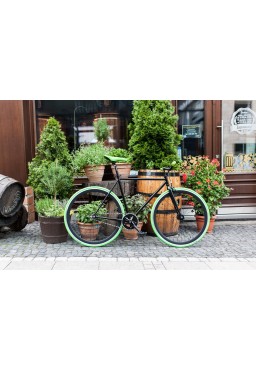 Woo Hoo Bikes - GREEN, 19" - Single Speed Bicycle