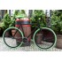 Woo Hoo Bikes - GREEN, 19" - Single Speed Bicycle