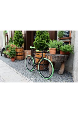 Woo Hoo Bikes - GREEN, 22" - Single Speed Bicycle