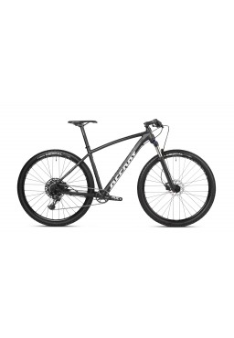 Accent POINT NX EAGLE MTB Bike, Marathon / XC 29, Black-White, S