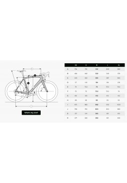 Ridley Fenix Disc 105 FEN01As (Arctic Grey - White) Road Bike (M)
