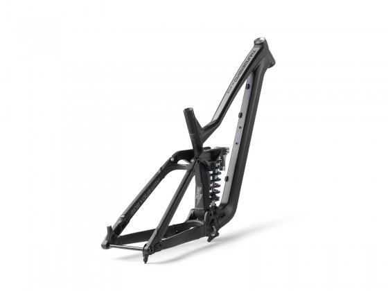 Dartmoor Frame Thunderbird FR, without shock, matt Black/Grey M