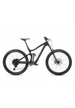 Dartmoor Bike Thunderbird CF Evo, carbon, 29" Wheels, matt Black/Grey, Large
