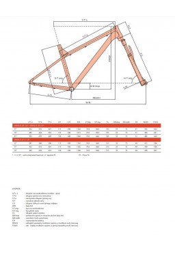 Rower AUTHOR MTB TRAIL VERSUS 1.0 27.5 17" szaro czarny mat