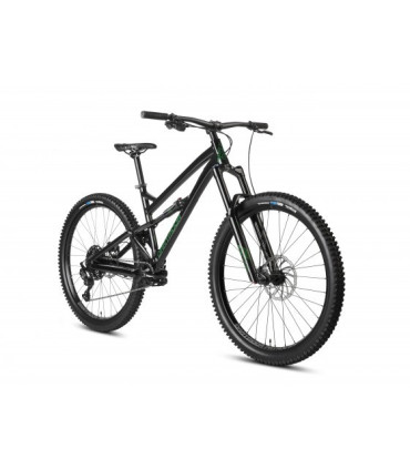 Dartmoor Bike Blackbird Intro 29, 29" Wheels, glossy Black/Forest Green, XLarge