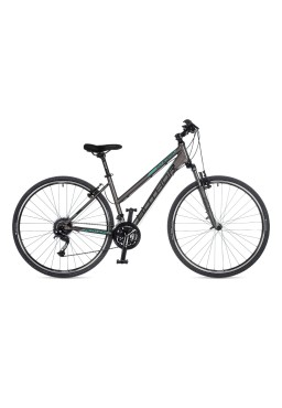 CROSS 700 Author INTEGRA 19" graphite bicycle