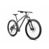 Dartmoor Bike Primal Intro 29, 29" Wheels, matt Graphite/Black, Medium