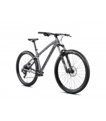 Dartmoor Bike Primal Intro 29, 29" Wheels, matt Graphite/Black, XLarge