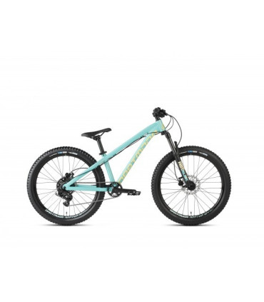 Dartmoor Bike Hornet Junior, 24" Wheels, matt Mint/Banana