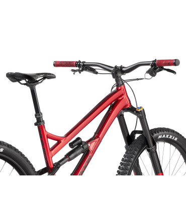 Dartmoor Bike Blackbird Evo 29, 29" Wheels, glossy Red Devil, XLarge