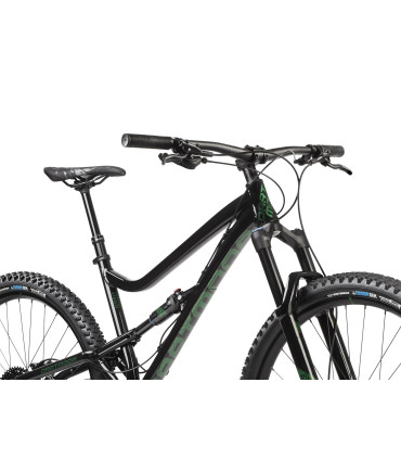 Rower Dartmoor Bluebird Evo 29, Czarny/Forest Green połysk, Medium