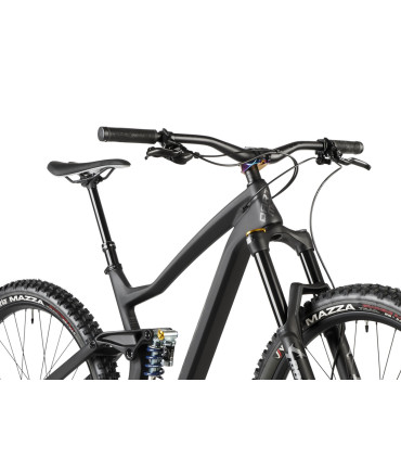 Dartmoor Bike Thunderbird CF Evo, carbon 29" Wheels matt Black/Grey, L