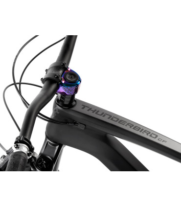 Dartmoor Bike Thunderbird CF Evo, carbon 29" Wheels matt Black/Grey, L