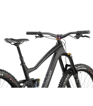 Dartmoor Bike Thunderbird CF Evo, carbon 29" Wheels matt Black/Grey, M