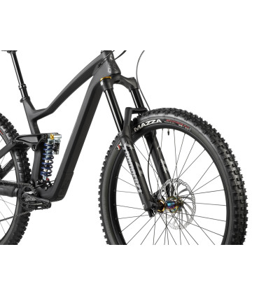 Dartmoor Bike Thunderbird CF Evo, carbon 29" Wheels matt Black/Grey, M