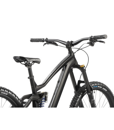 Dartmoor Bike Thunderbird FR Evo, alu, matt Black/Grey, Medium