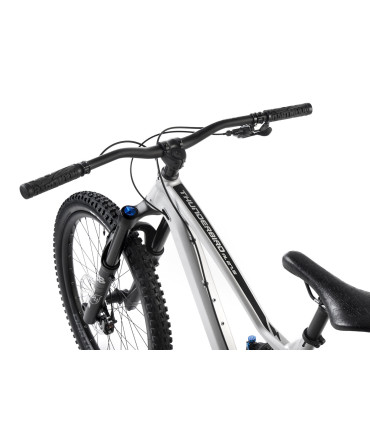 Dartmoor Bike Thunderbird FR Pro, alu, glossy Metallic Silver, Large