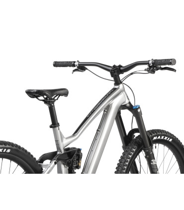 Dartmoor Bike Thunderbird FR Pro, alu, glossy Metallic Silver, Medium