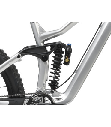 Dartmoor Bike Thunderbird FR Pro, alu, glossy Metallic Silver, Medium