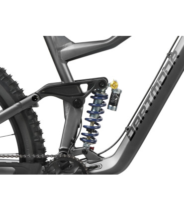 Dartmoor Bike Thunderbird Superenduro Evo, alu, matt Graphite/Black, M