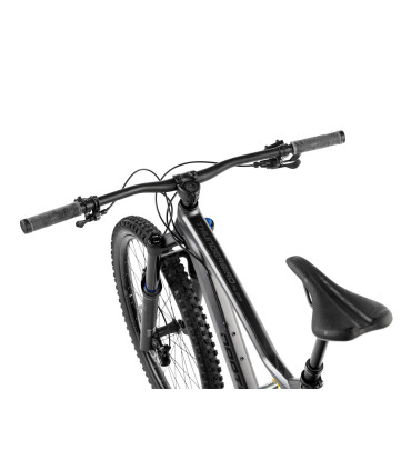 Dartmoor Bike Thunderbird Superenduro Evo, alu, matt Graphite/Black, S