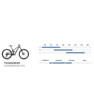 Dartmoor Bike Thunderbird Superenduro Evo, alu, matt Graphite/Black, S