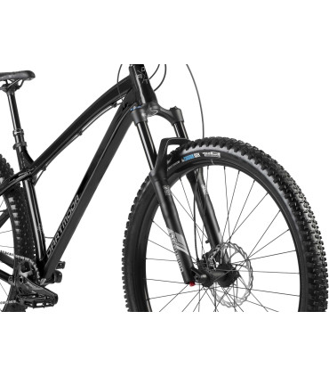 Dartmoor Primal Evo 29 – Trail hardtail MTB – 130 mm skoku