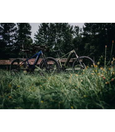 Accent E-Peak EP6 – rower elektryczny eMTB 29" – Shimano EP6 504 Wh