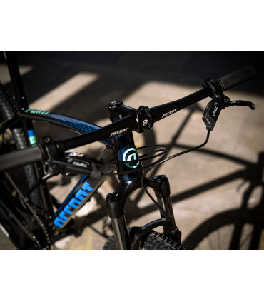 Accent Point NX Eagle – Rower MTB 29" – napęd 1x12