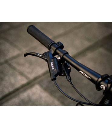 Accent Point SX Eagle – 29" MTB – SRAM 1x12 drivetrain