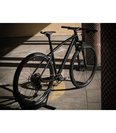 Accent Point SX Eagle – rower MTB 29" – napęd SRAM 1x12