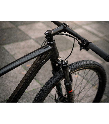 Accent Point SX Eagle – MTB XC 29" – napęd SRAM 1x12