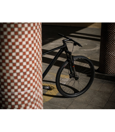 Accent Point SX Eagle – MTB XC 29" – napęd SRAM 1x12