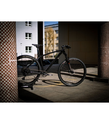 Accent Point SX Eagle – 29" XC MTB – SRAM 1x12 drivetrain