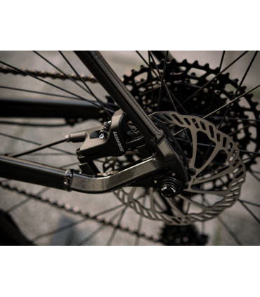 Accent Point SX Eagle – MTB XC 29" – napęd SRAM 1x12