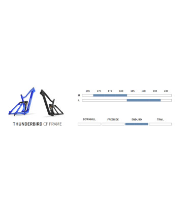 Dartmoor Thunderbird CF – enduro frame – carbon 160 mm