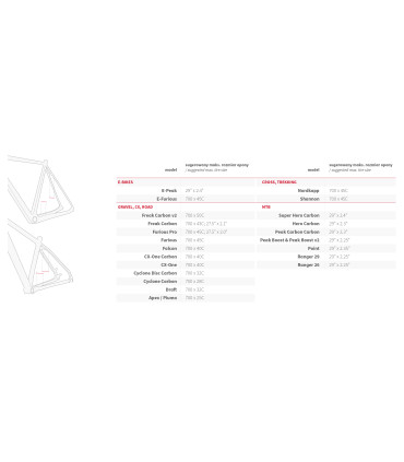 Accent Furious PRO – gravelowa rama – dynamiczna i świeża