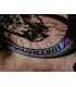 Accent TGR PRO – Rainbow 700C rim