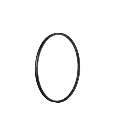 Accent Race 29 – lightweight black-graphite MTB rim tubeless