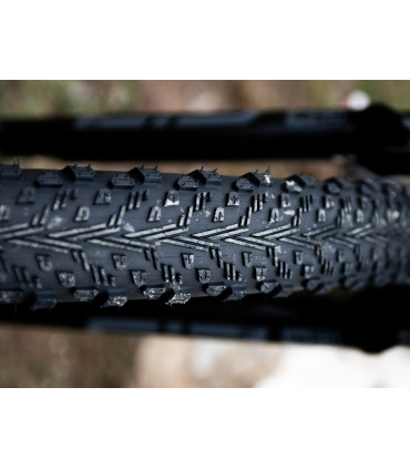 Peyote XC Race 29x2.4 TLR – Stable XC Racing Tire