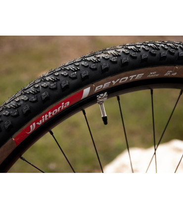 Peyote XC Race 29x2.4 TLR – Control-Focused XC Tire