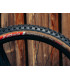 Torrente XC Race 29x2.25 – XC Tire for Wet & Muddy Trails